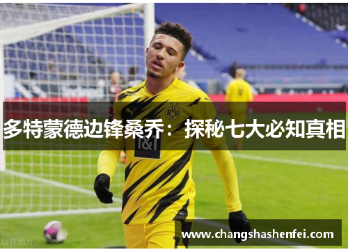 多特蒙德边锋桑乔：探秘七大必知真相