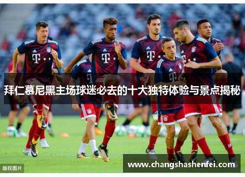 拜仁慕尼黑主场球迷必去的十大独特体验与景点揭秘