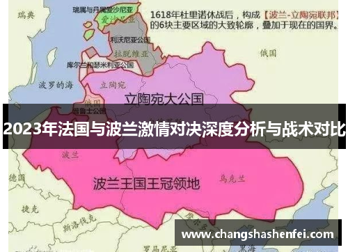 2023年法国与波兰激情对决深度分析与战术对比