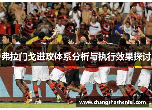 弗拉门戈进攻体系分析与执行效果探讨 弗拉门戈进攻体系分析与执行效果探讨
