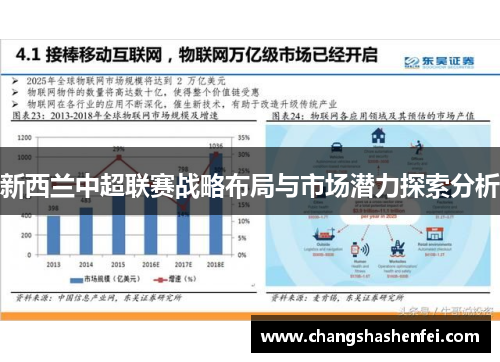 新西兰中超联赛战略布局与市场潜力探索分析